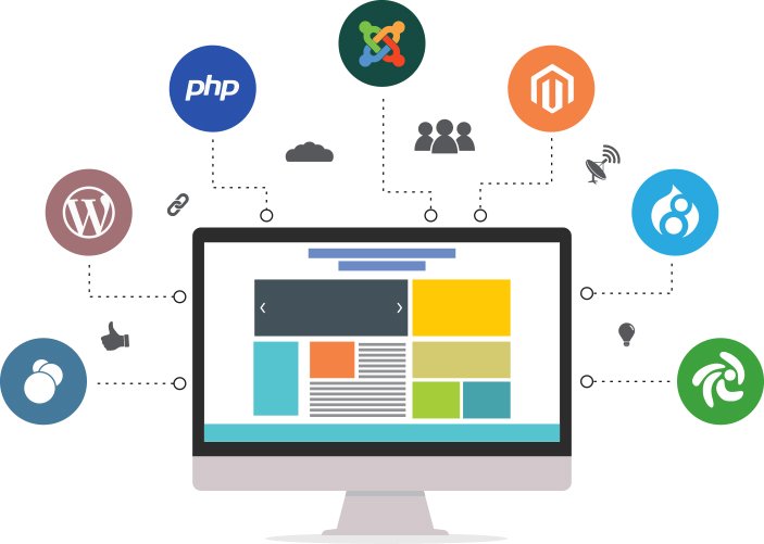 Web development company in Mohali